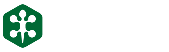 https://www.web-heibai-sports.com/